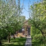 Persoonlijke ontvangst in Koffiehuis met terras in Drenthe