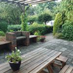 Gezellig koffiehuis op natuurcamping in Drenthe Gezellig koffiehuis op natuurcamping in Drenthe