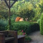 Mooiste rustige kleine camping in Drenthe Mooiste rustige minicamping in Drenthe