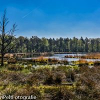 wandelen en fieten op mooiste minicamping van Drenthe Fietsen vanaf rustige kleine camping in Drenthe