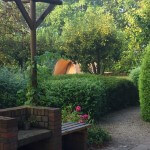 Kleine camping in Drenthe in de natuur